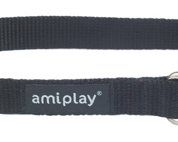 Ошейник Amiplay Basic with Lock, черный/красный, 250 - 400 мм x 15 мм